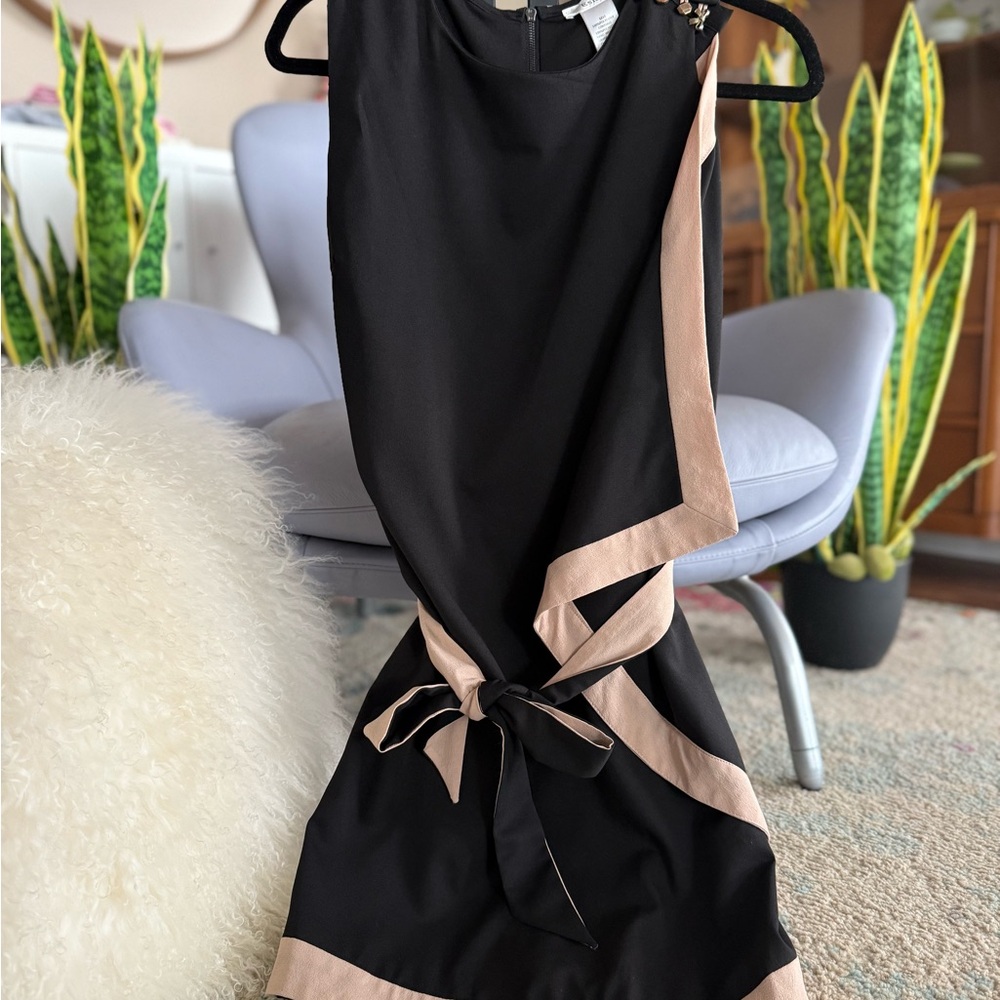 Esley Black and Tan Mini Dress